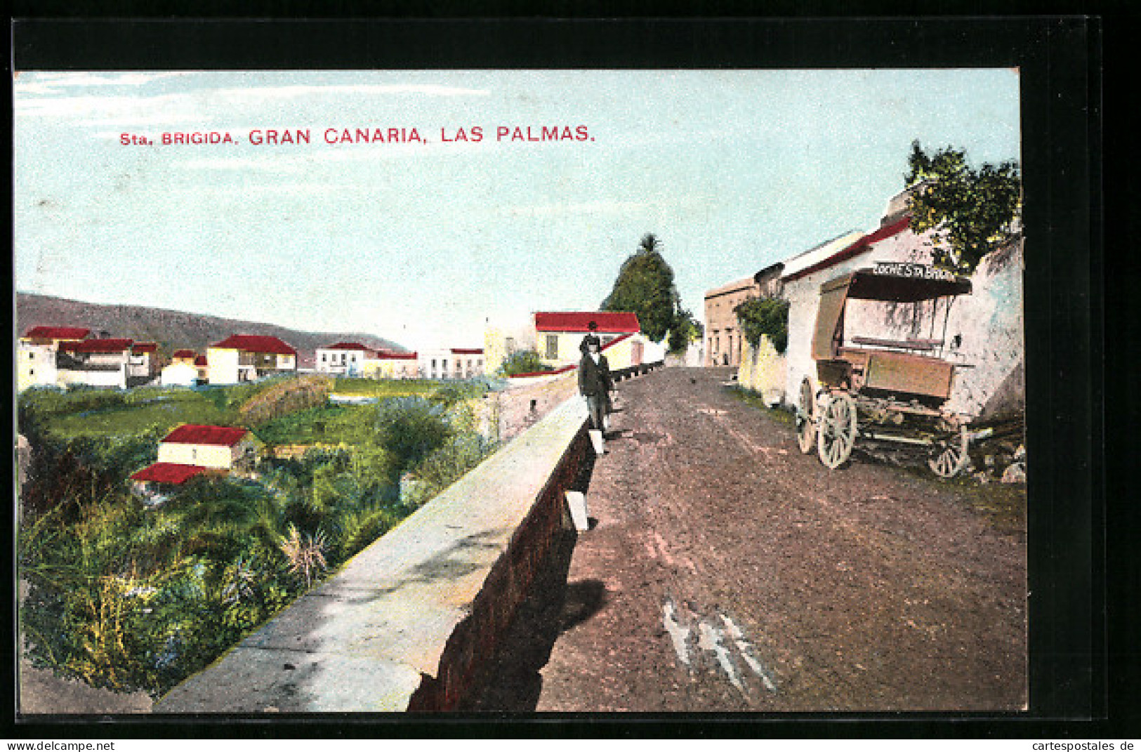Postal Las Palmas /Gran Canaria, Sta. Brigida  - Gran Canaria
