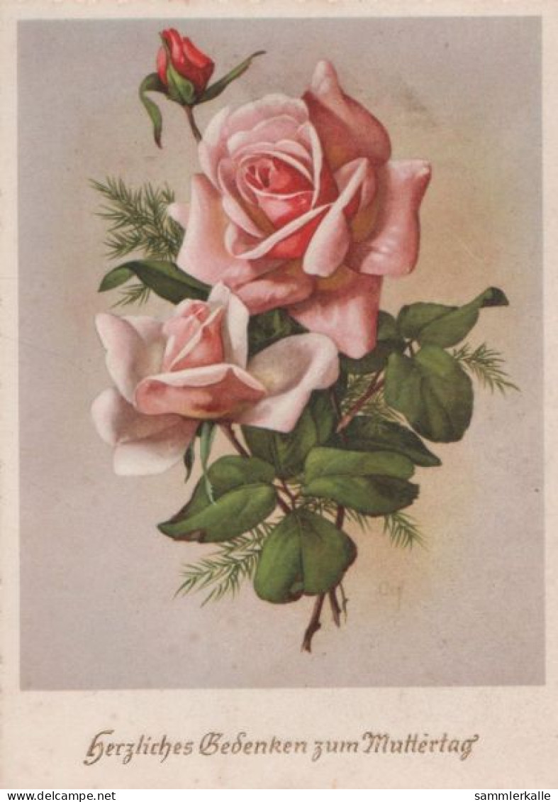 117670 - Zum Muttertag Rosen - Fête Des Mères