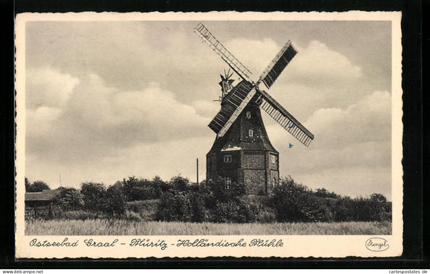 AK Graal-Müritz, Holländische Mühle, Windmühle  - Windmühlen