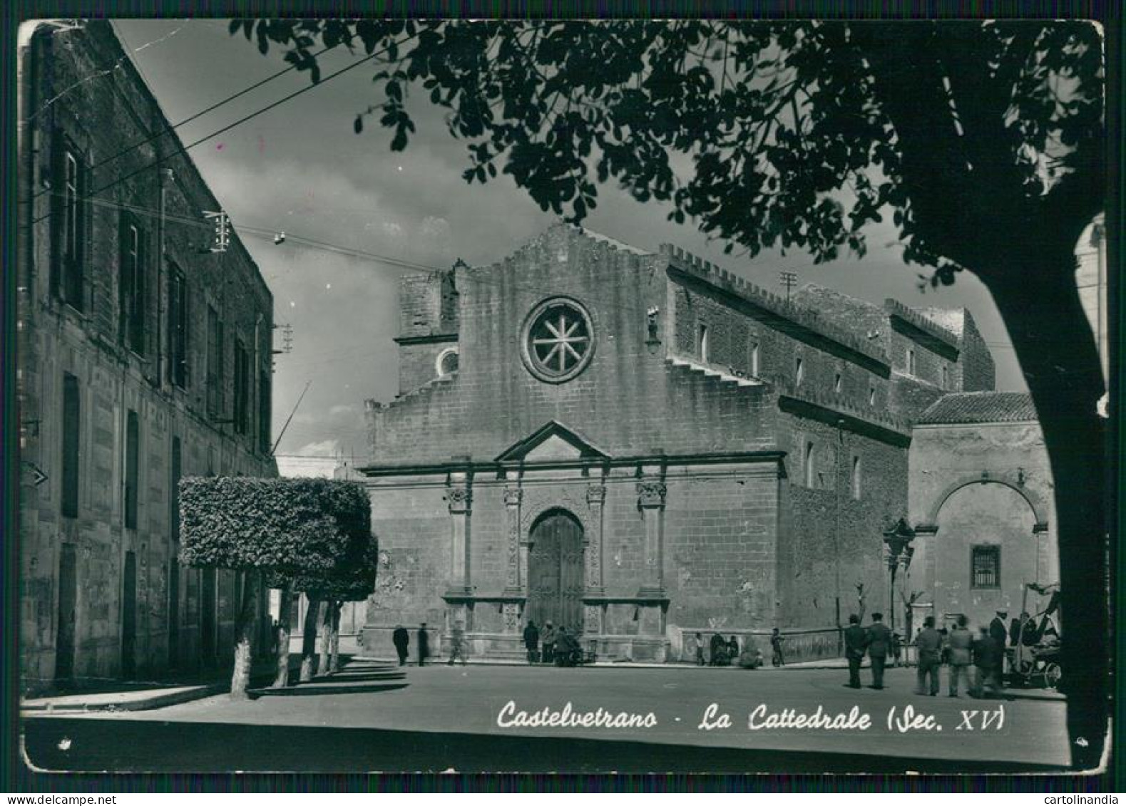 Trapani Castelvetrano Cattedrale FORI Foto FG Cartolina MZ4942 - Trapani