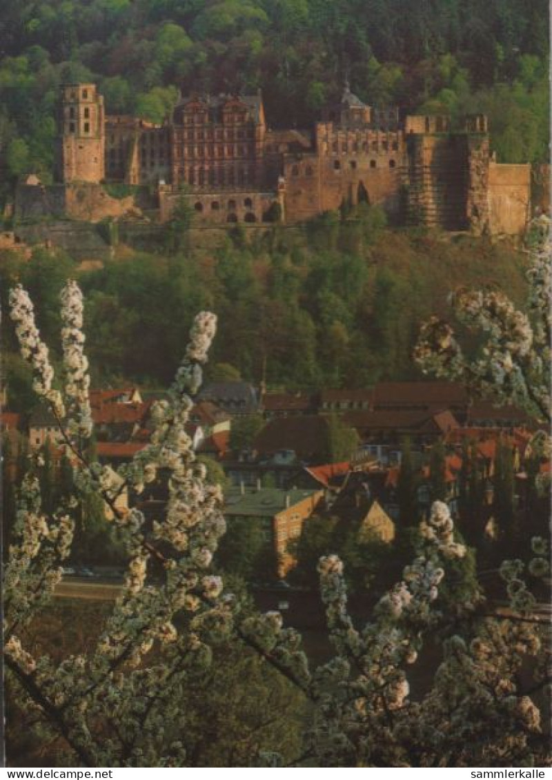 48938 - Heidelberg - Schloss - 1985 - Heidelberg