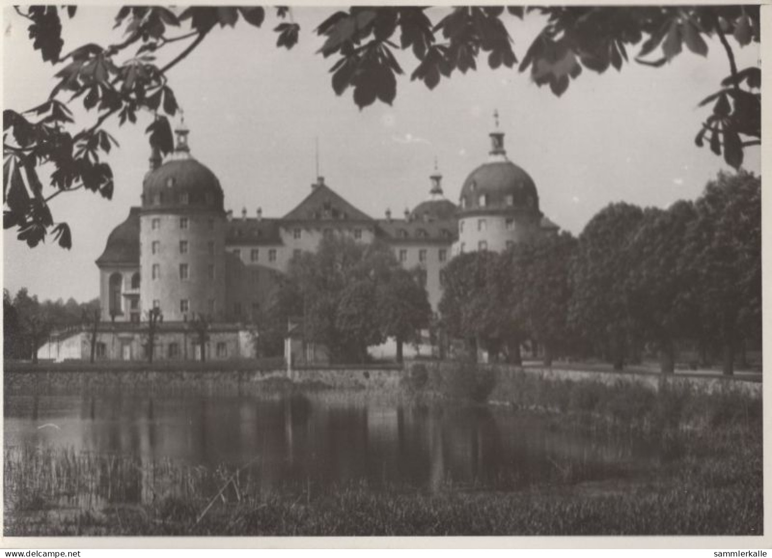 124830 - Moritzburg - Keine AK - Moritzburg