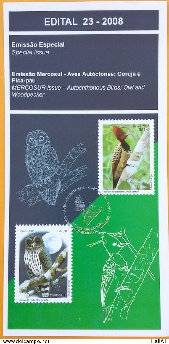 Brochure Brazil Edital 2008 23 Birds Owl And Woodpecker Without Stamp - Brieven En Documenten