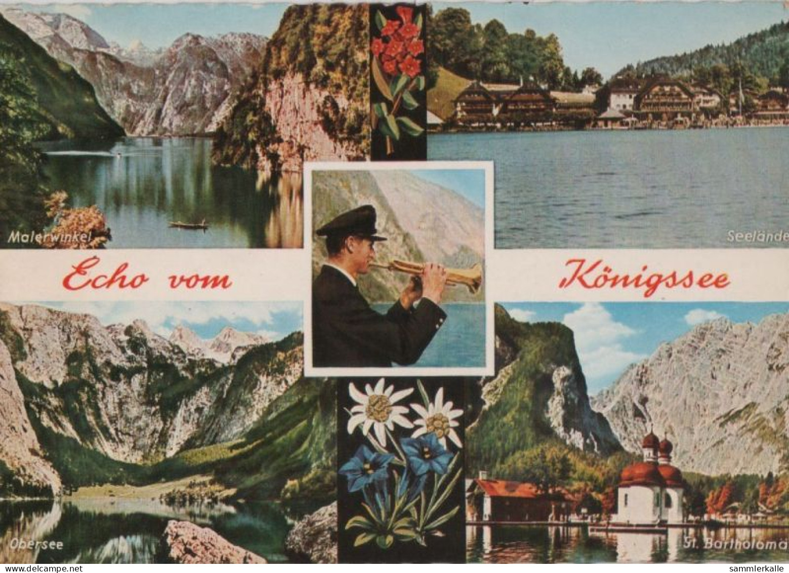 64298 - Königssee - Echo - Ca. 1970 - Bad Reichenhall