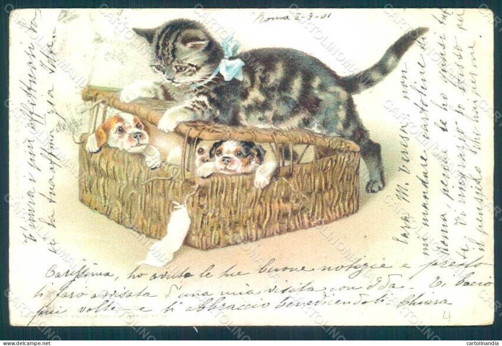 Animals Cat Puppy Dog Serie 249 Postcard HR0387 - Other & Unclassified