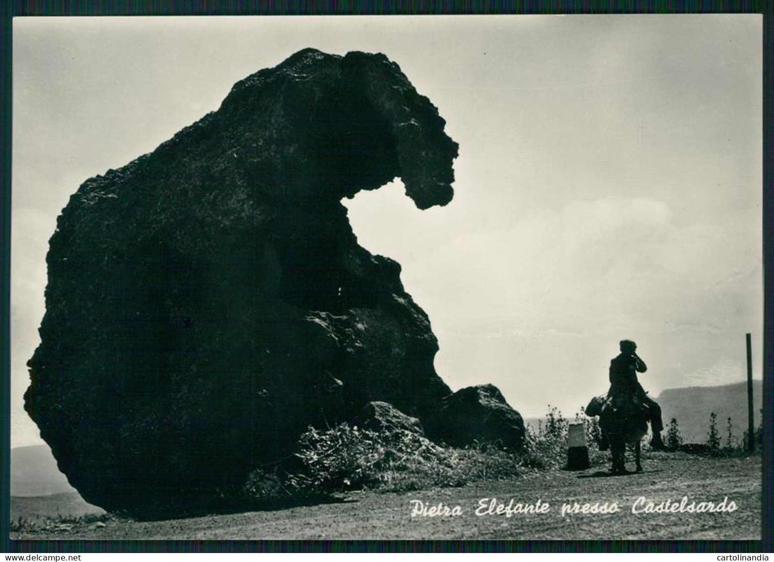 Sassari Castelsardo Pietra Elefante Foto FG Cartolina MZ4957 - Sassari