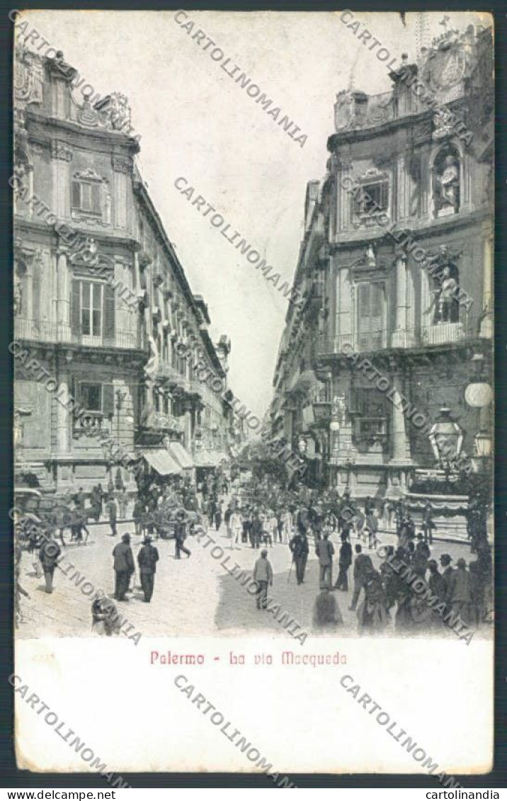 Palermo Città Via Maqueda Alterocca Cartolina ZT8205 - Palermo