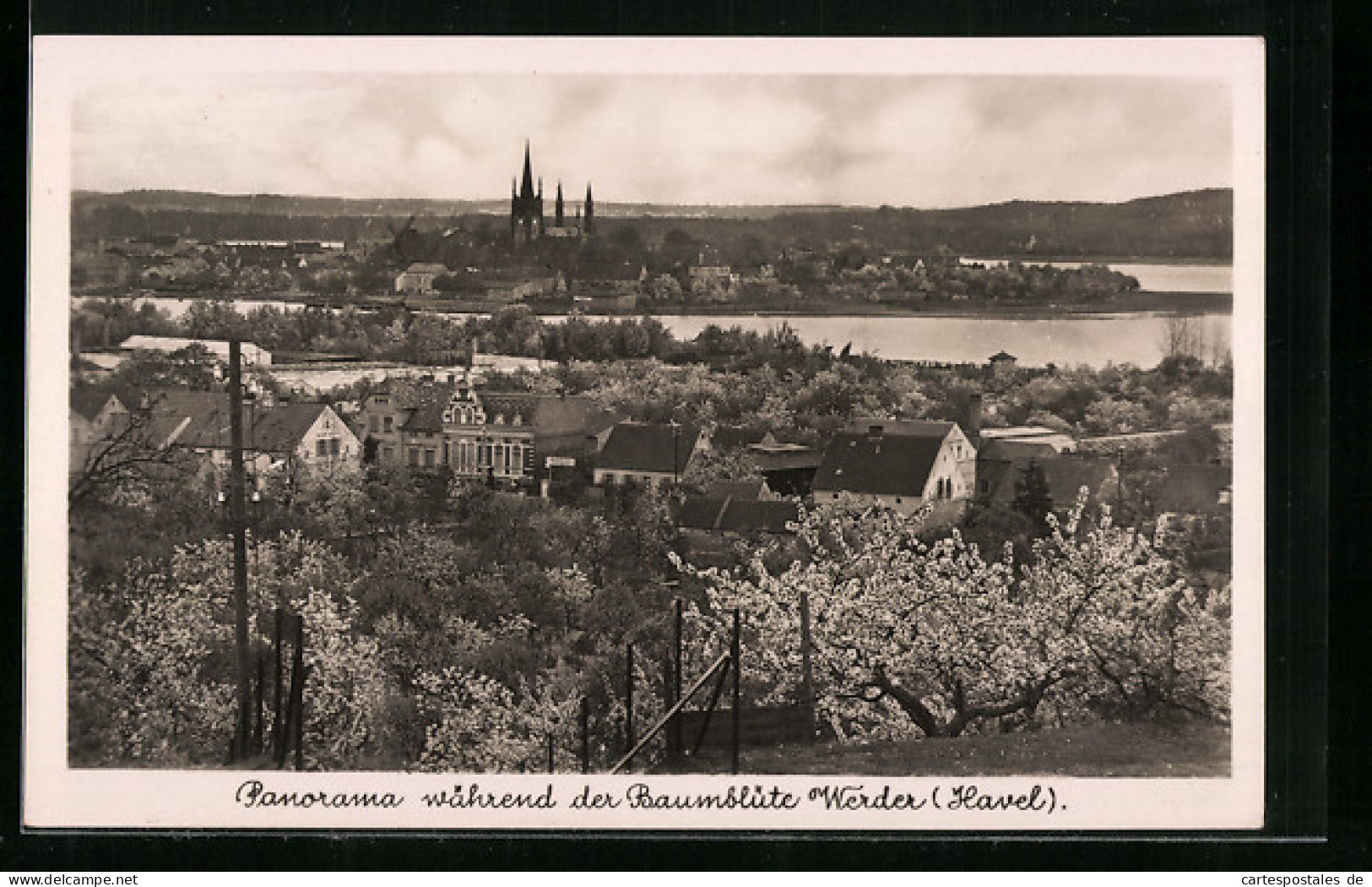 AK Werder A. Havel, Panorama Der Stadt Während Der Baumblüte  - Werder