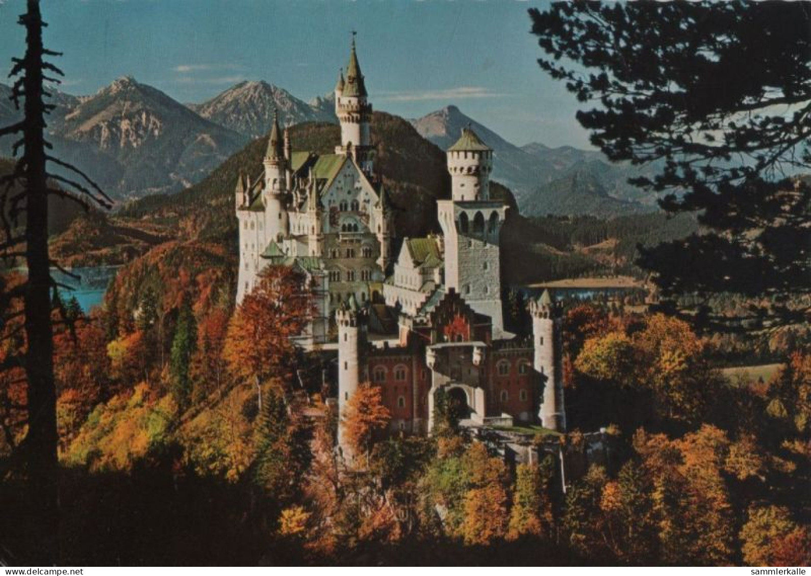 37482 - Schwangau Neuschwanstein - Mit Tiroler Alpen - 1975 - Füssen