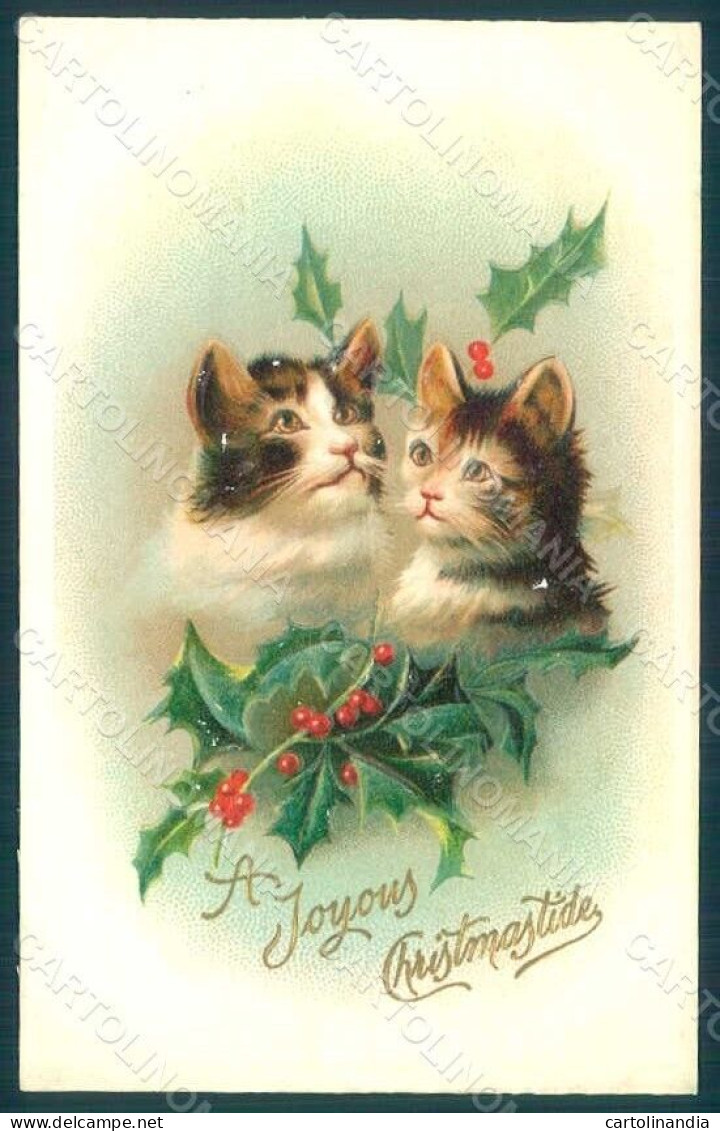 Greetings Christmas Cat Holly Serie 1064 Relief Postcard HR0382 - Other & Unclassified