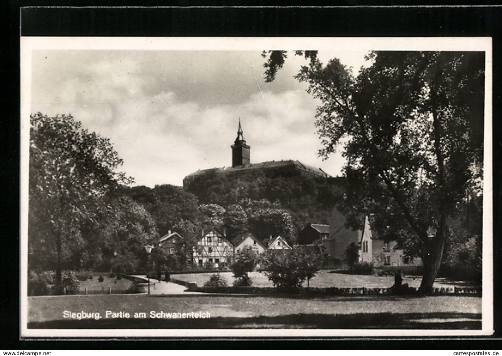 AK Siegburg, Partie Am Schwanenteich  - Siegburg