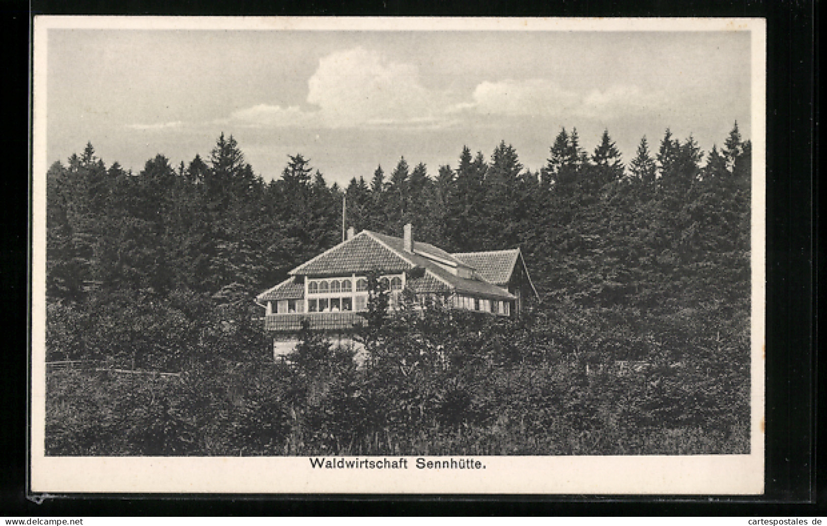 AK Hameln, Waldwirtschaft Sennhütte  - Hameln (Pyrmont)