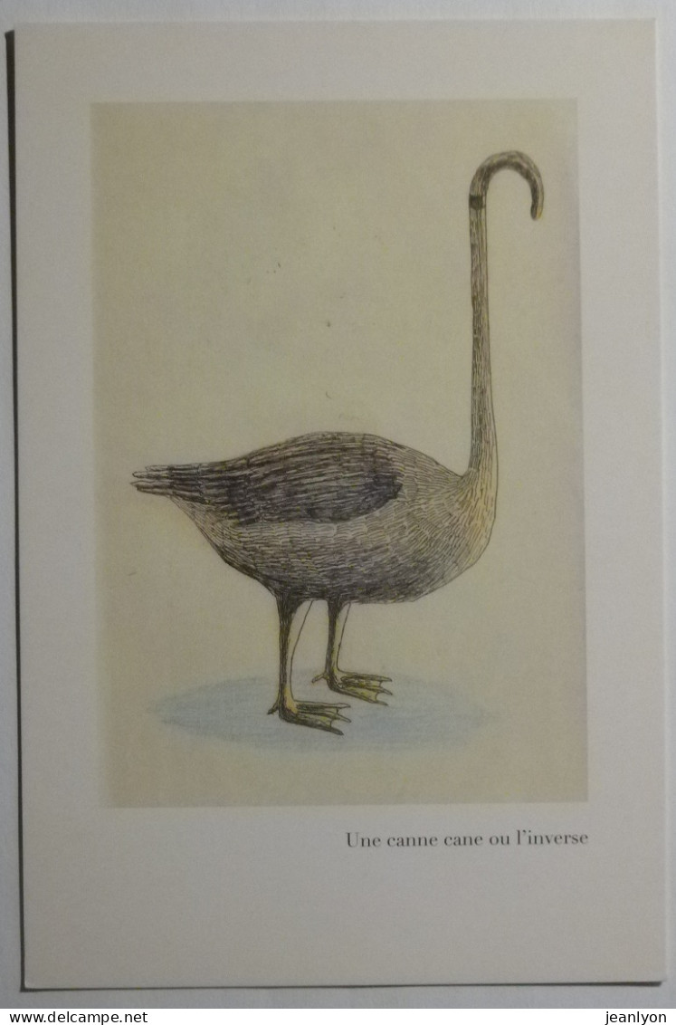 CANE - Une Canne Cane / Illustrateur Marie Dorléans - Carte Postale - Oiseaux