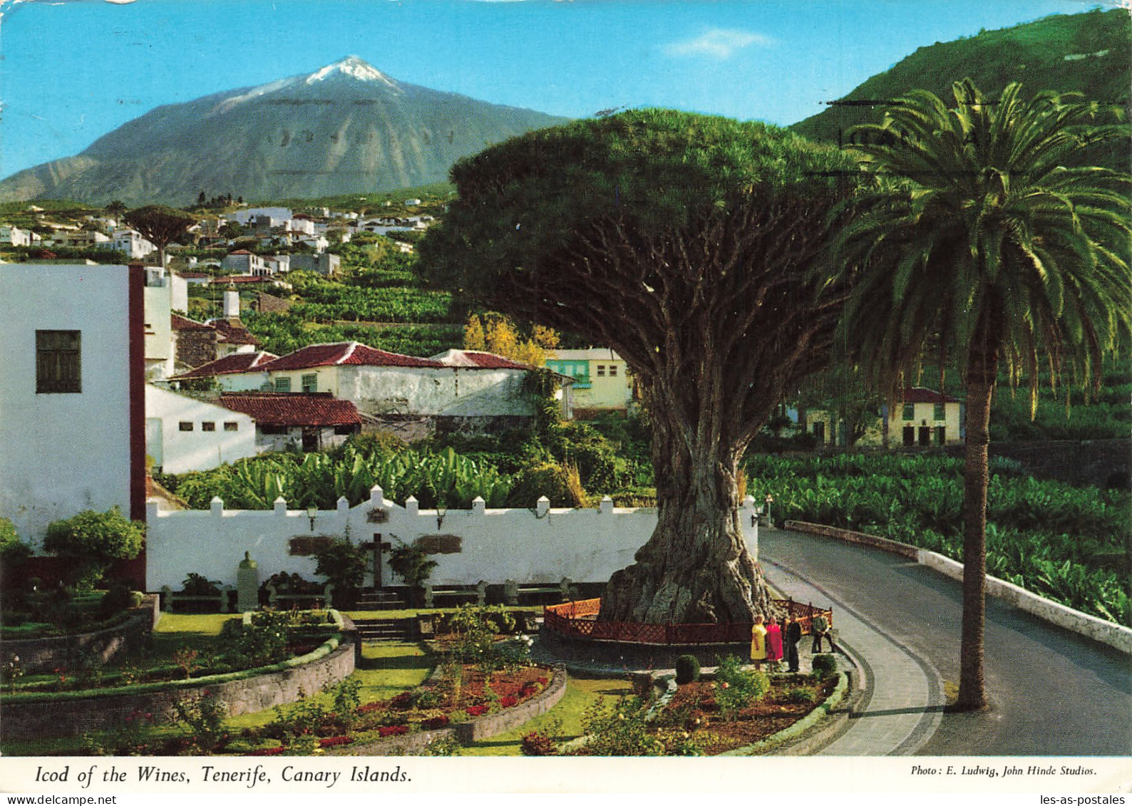 ES ISLAS CANARIAS TENERIFE ICOD DE LOS VINOS - Tenerife