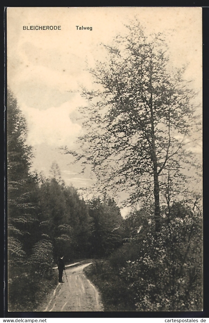 AK Bleicherode, Talweg Im Wald  - Bleicherode