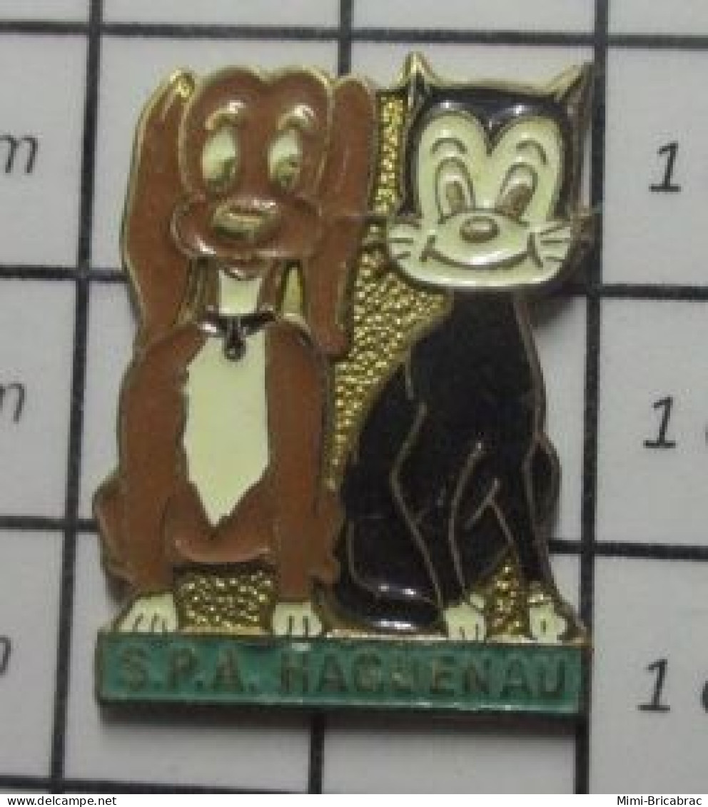 1618A Pin's Pins / Beau Et Rare : ANIMAUX / SPA HAGUENAU CHIEN MARRON CHAT NOIR - Dieren