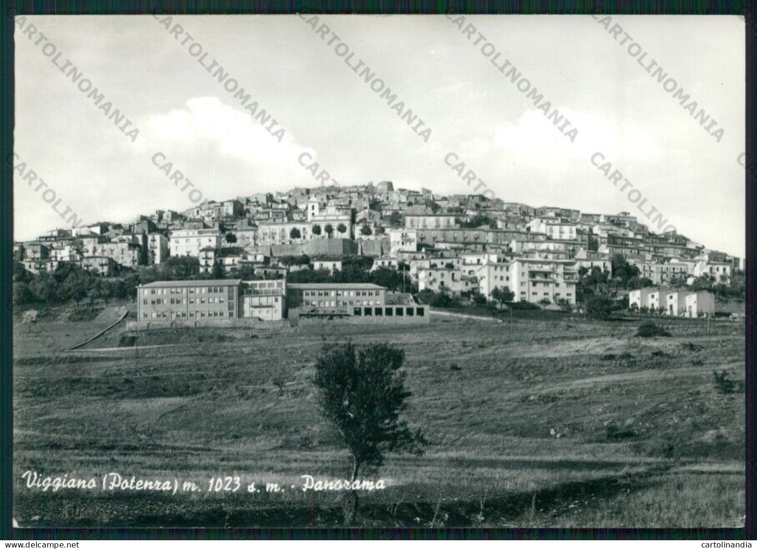 Potenza Viggiano Foto FG Cartolina ZK2183 - Potenza