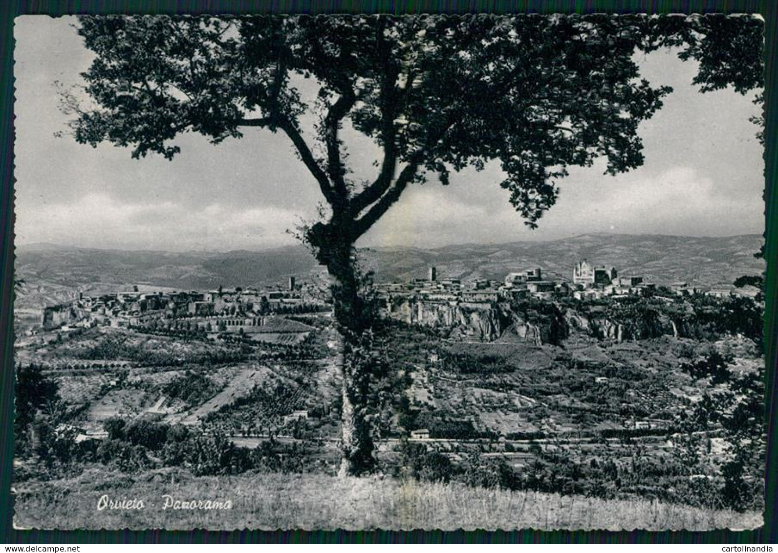 Terni Orvieto Panorama PIEGHINA Foto FG Cartolina MZ5009 - Terni