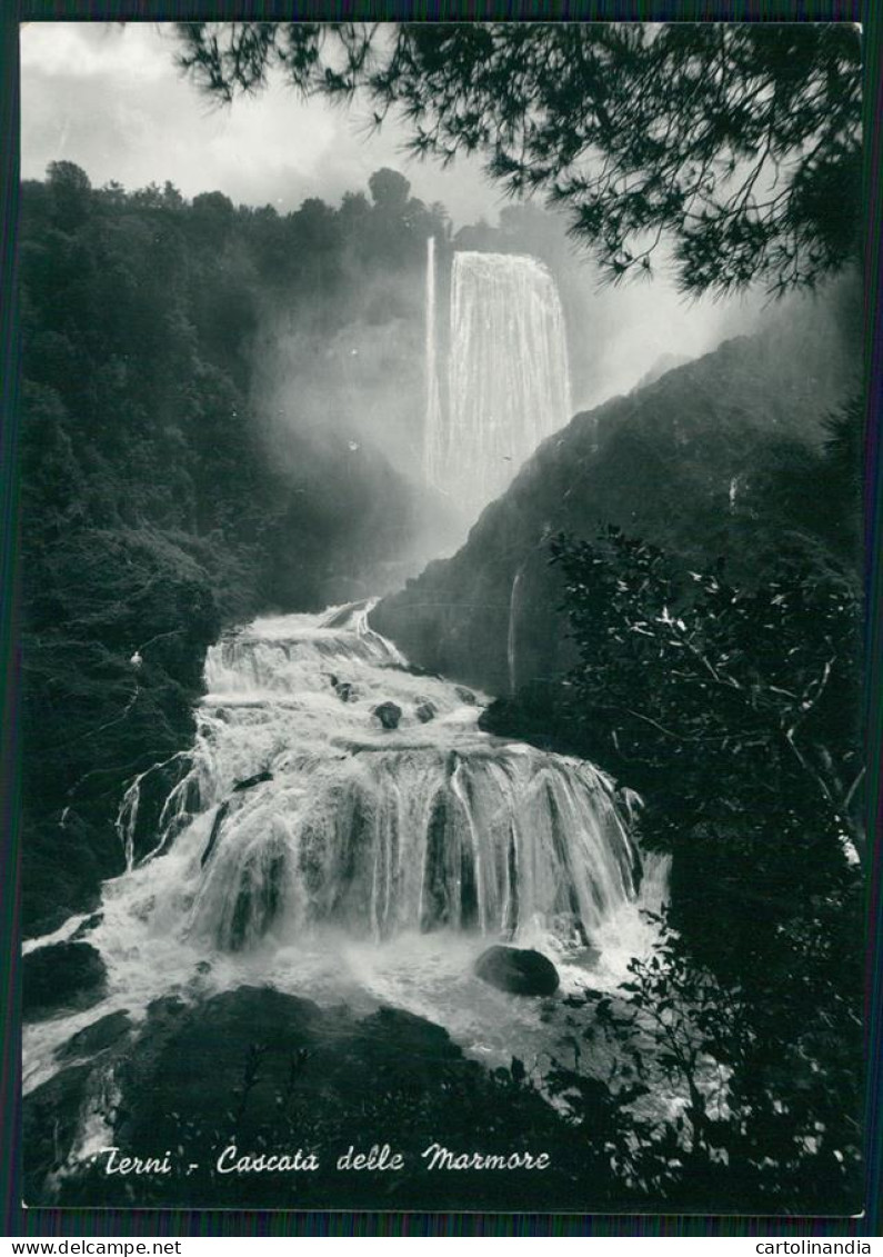 Terni Città Cascata Delle Marmore Foto FG Cartolina MZ5017 - Terni