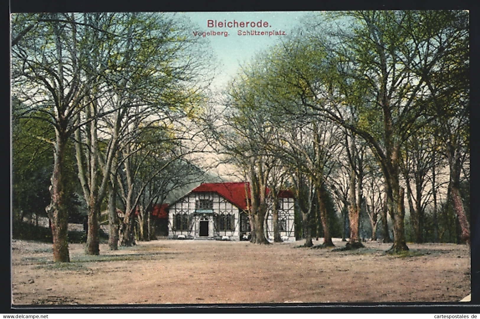 AK Bleicherode, Vogelberg Und Schützenplatz  - Bleicherode