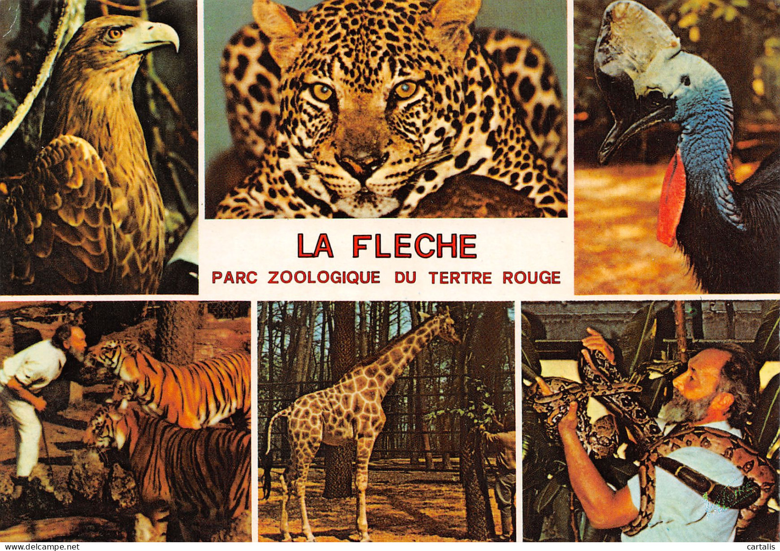 72-LA FLECHE-N°3714-D/0381 - La Fleche