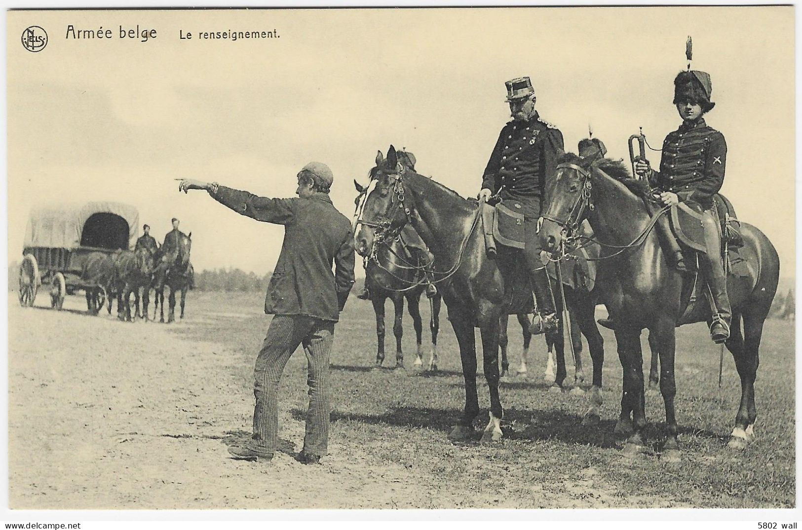 ARMEE BELGE : Le Renseignement - Régiments