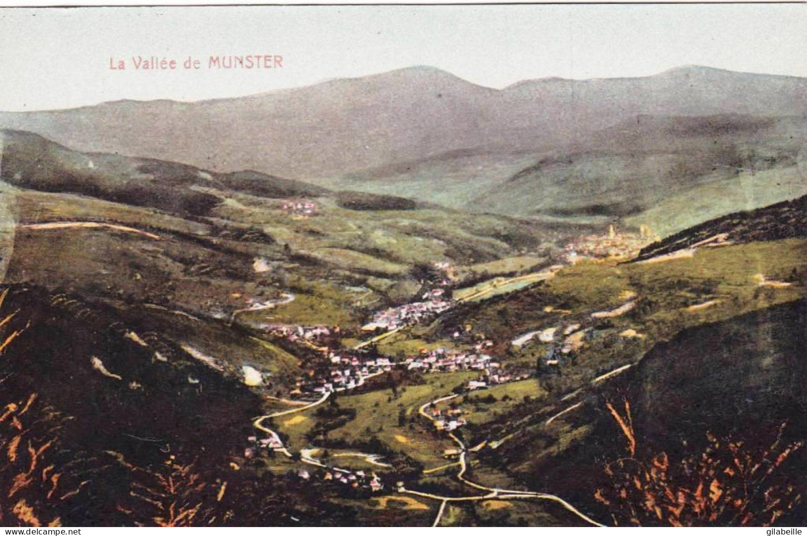 68 - Haut Rhin -  MUNSTER - La Vallée - Munster