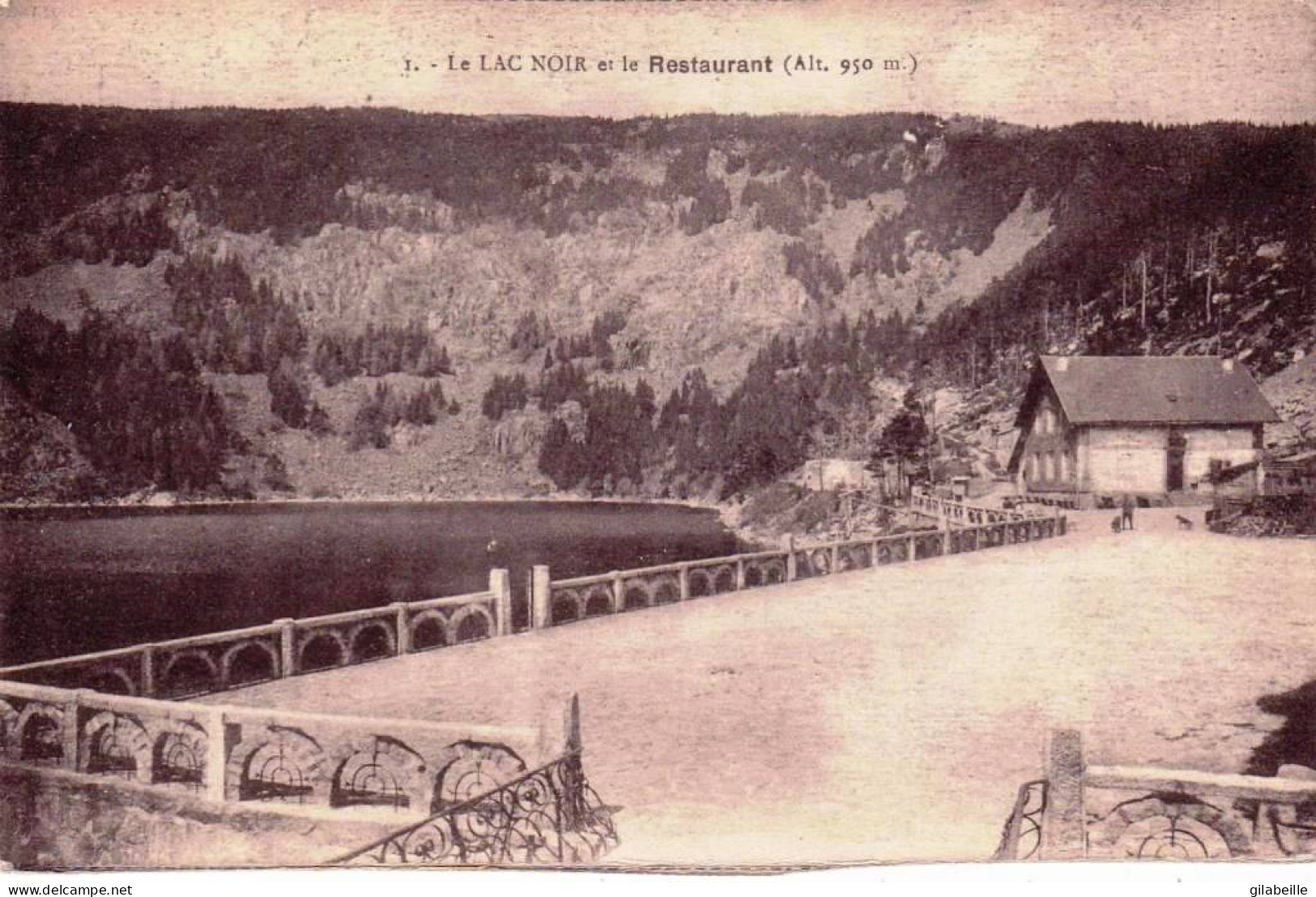 68 - Haut Rhin - ( ORBEY )  Le Lac Noir   Et Le Restaurant - Orbey