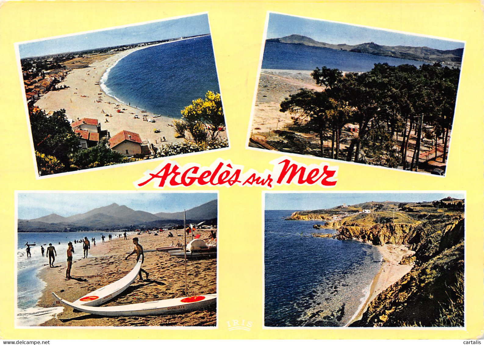 66-ARGELES SUR MER-N°3715-C/0117 - Argeles Sur Mer