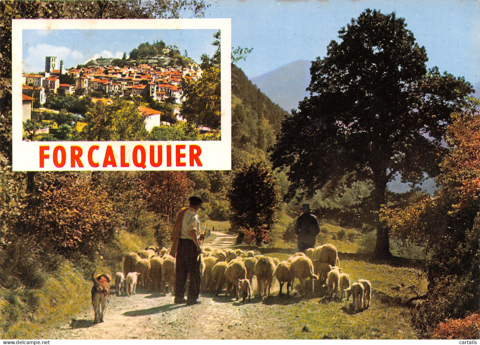 04-FORCALQUIER-N°3715-B/0265 - Forcalquier