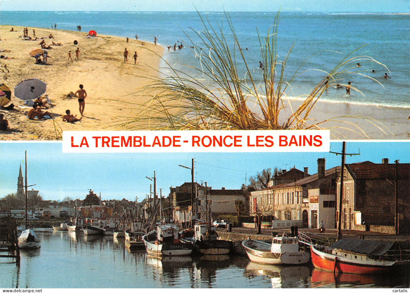 17-LA TREMBLADE-N°3716-A/0055 - La Tremblade