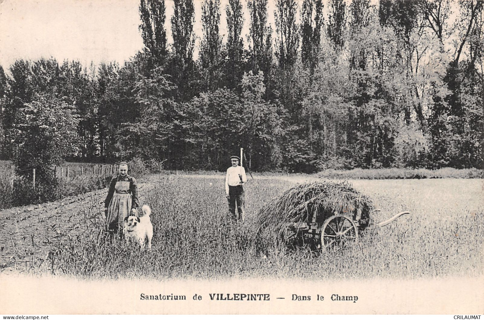 93-VILLEPINTE SANATORIUM-N°LP5043-E/0053 - Villepinte