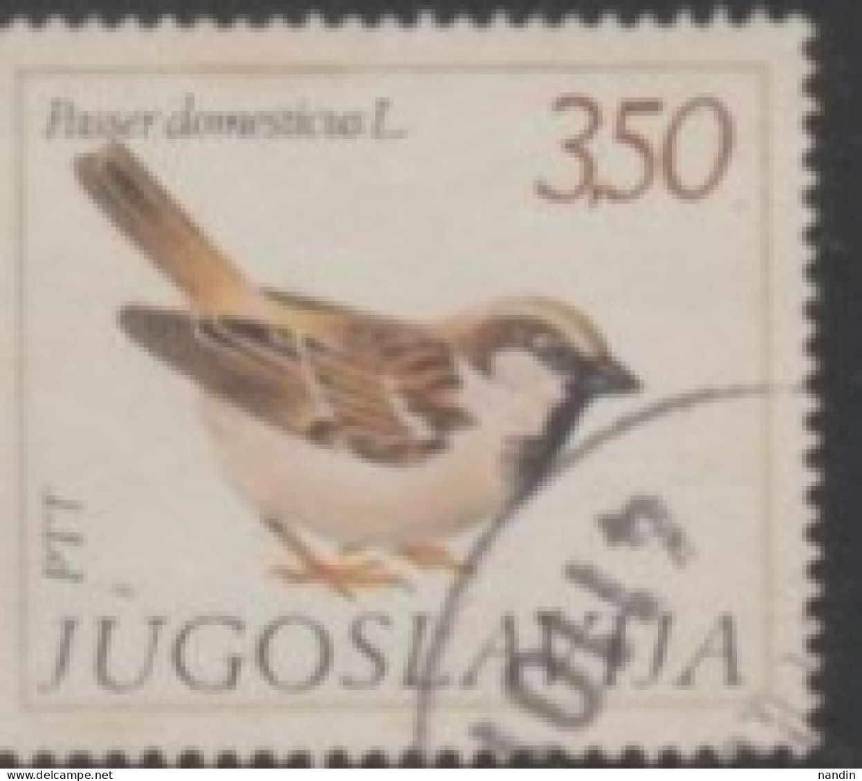 1982 YUGOSLAVIA USED STAMP ON BIRDS/Passe Rdomesticus -Sparrows - Moineaux