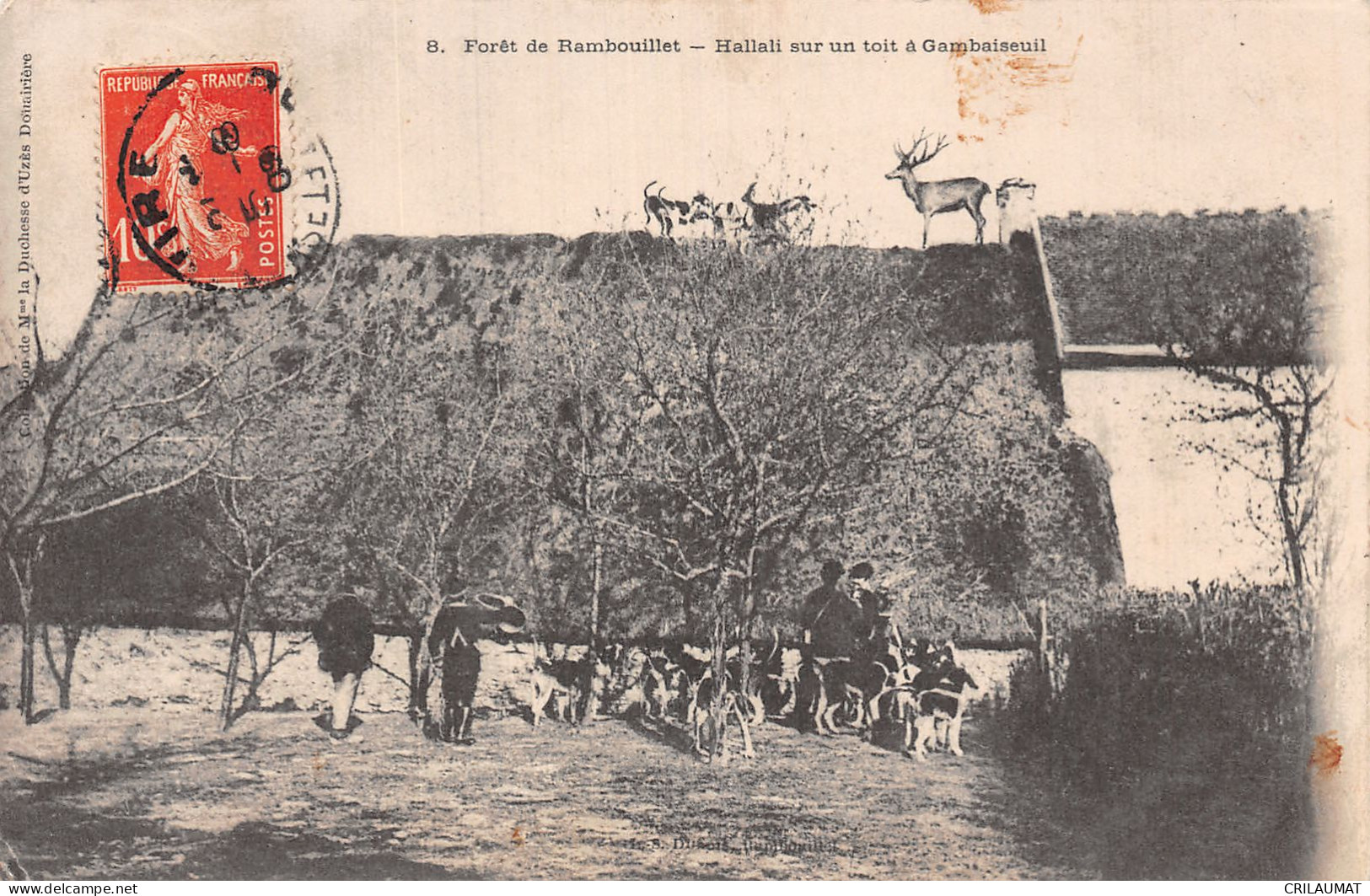 78-RAMBOUILLET LA FORET-N°LP5043-H/0007 - Rambouillet