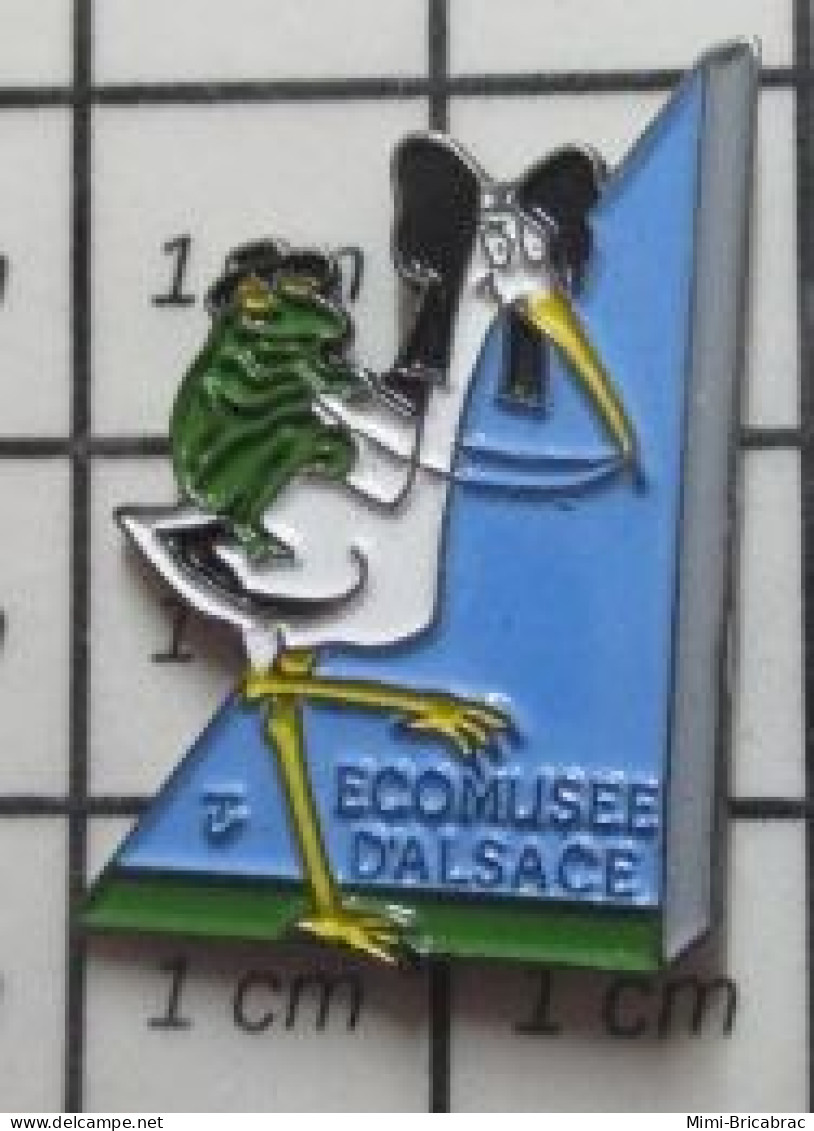 713c Pin's Pins / Beau Et Rare / ANIMAUX / GRENOUILLE ET CIGOGNE ECOMUSEE D'ALSACE - Animali