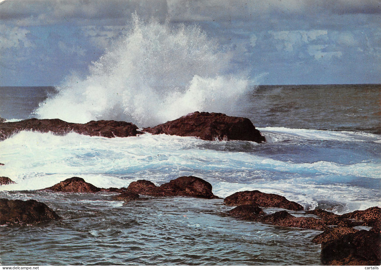 974-ILE DE LA REUNION COTE SAUVAGE-N°3718-A/0263 - Sonstige & Ohne Zuordnung