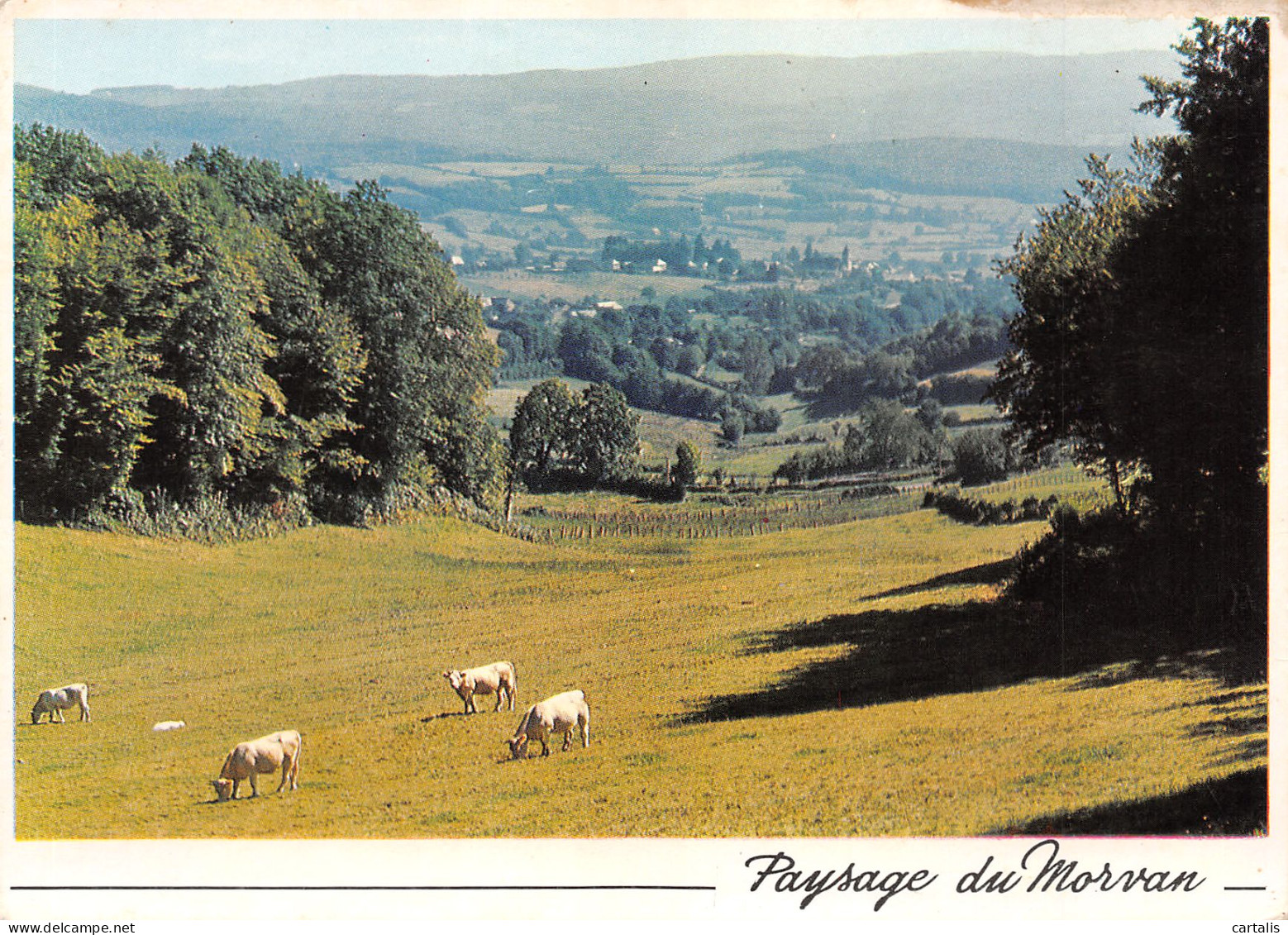 58-PAYSAGE DU MORVAN-N°3718-A/0225 - Andere & Zonder Classificatie