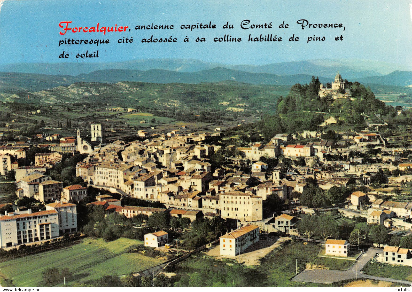 04-FORCALQUIER-N°3717-D/0259 - Forcalquier