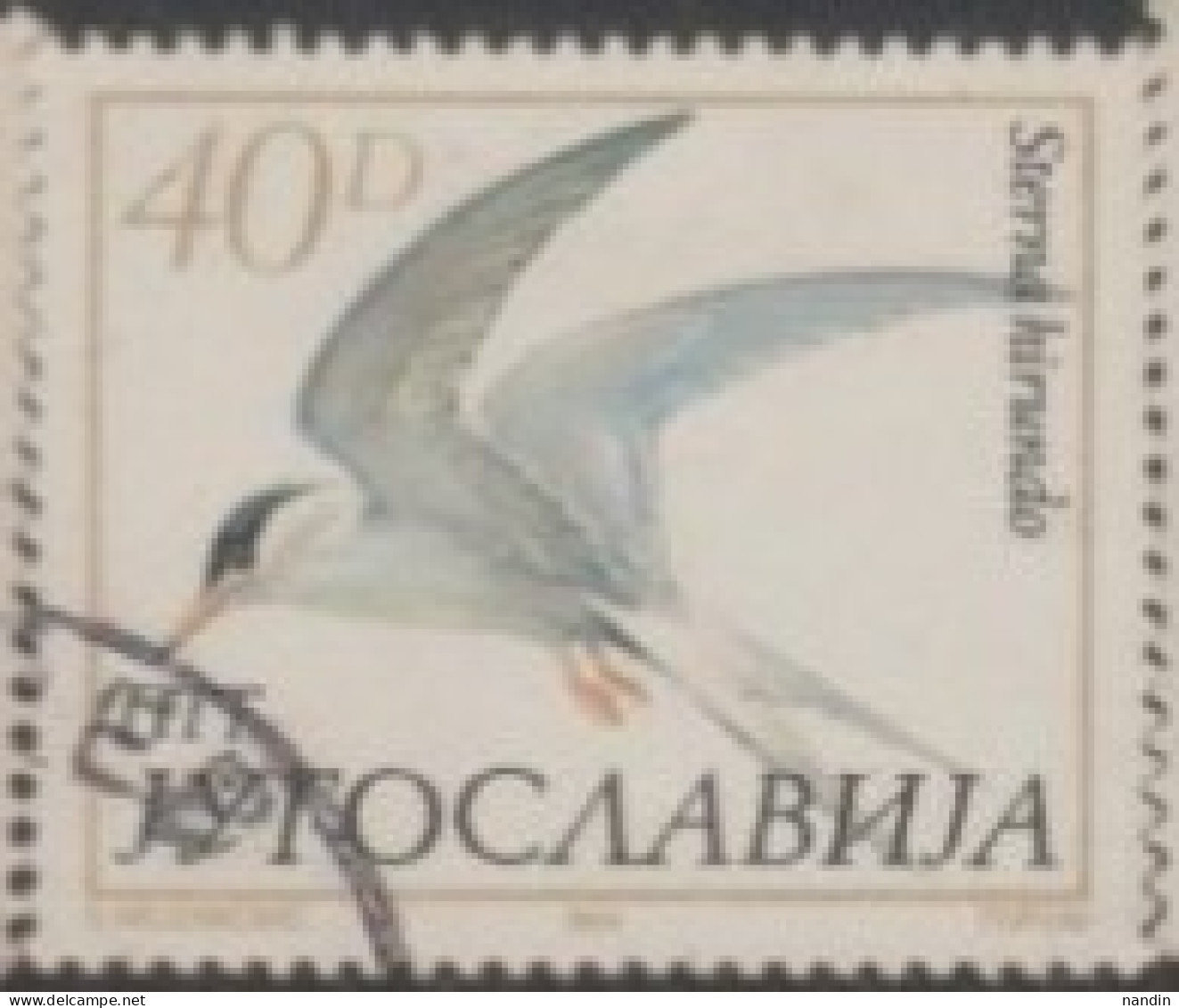 1982 YUGOSLAVIA USED STAMP ON BIRDS/Sterna Hirundo-Seagulls - Meeuwen