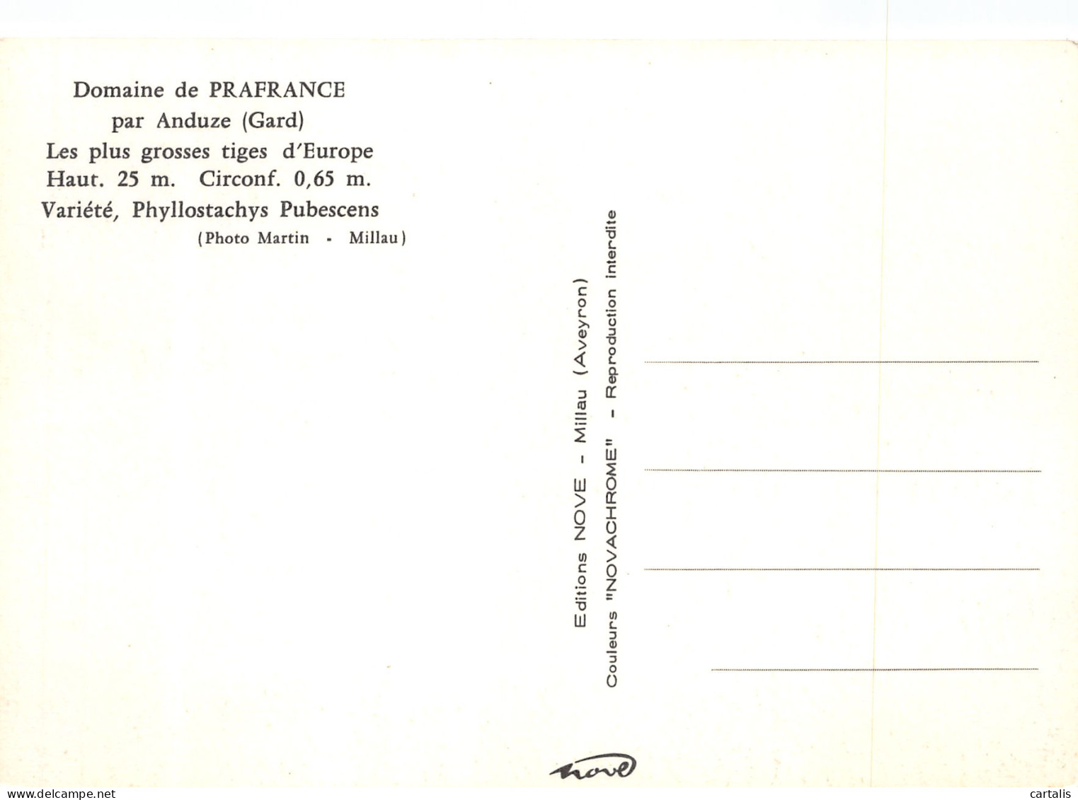 30-ANDUZE-N°3720-B/0251 - Anduze