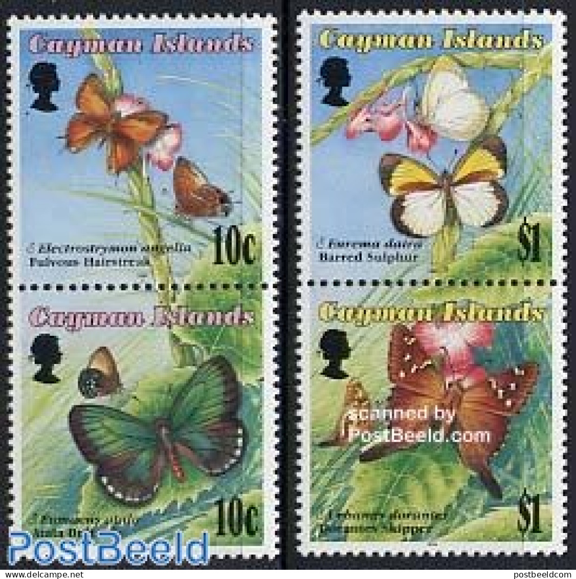 Cayman Islands 1994 Butterflies 4v (2x[:]), Mint NH, Nature - Butterflies - Kaaiman Eilanden