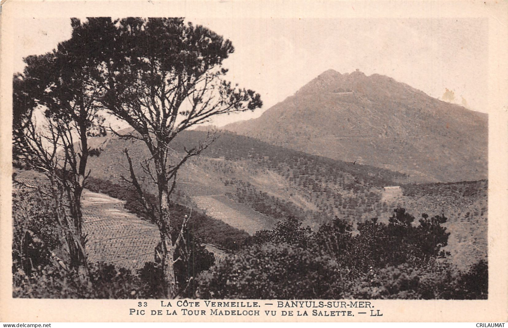 66-BANYULS SUR MER-N°LP5045-C/0367 - Banyuls Sur Mer