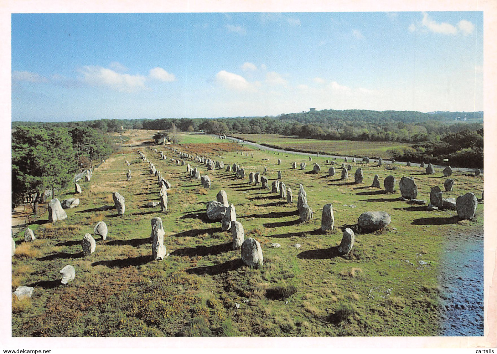 56-CARNAC-N°3720-D/0109 - Carnac