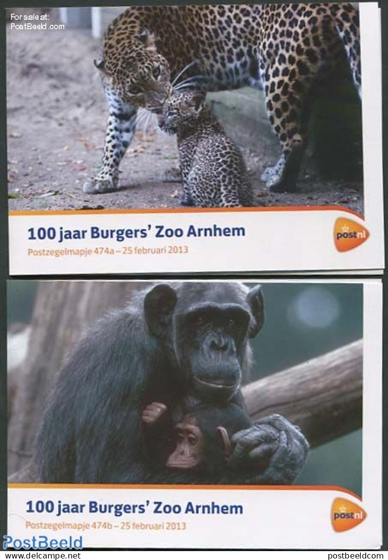 Netherlands 2013 100 Years Burgers Zoo, Presentation Pack 474, Mint NH, Nature - Birds - Flowers & Plants - Art - Pain.. - Ungebraucht