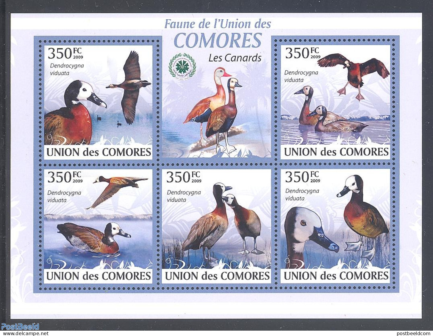 Comoros 2009 Ducks 5v M/s, Mint NH, Nature - Birds - Ducks - Comoros