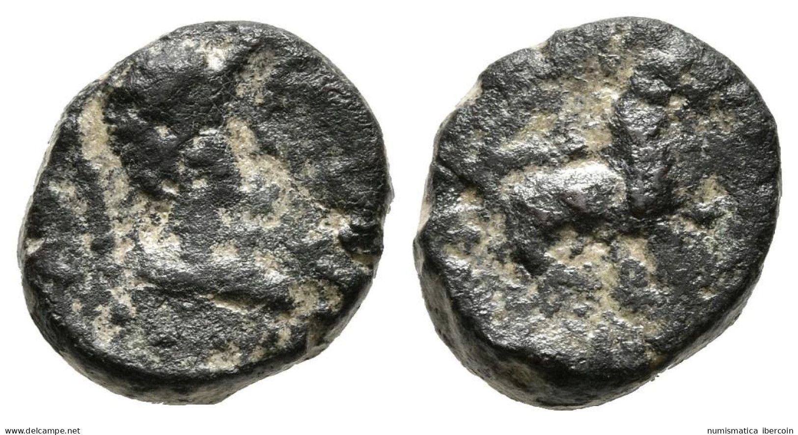 MASSALIA. AE, Pequeño Bronce. 49 A.C. Antipolis (Antibes) A/ Cabeza De Minerva  - Other & Unclassified