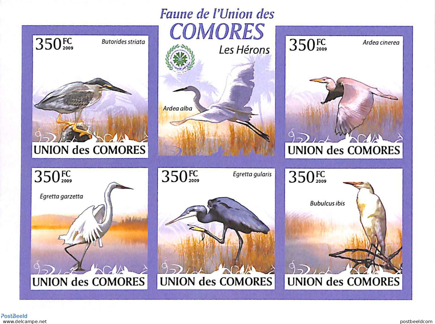 Comoros 2009 Herons 5v M/s, Imperforated, Mint NH, Nature - Birds - Comores (1975-...)