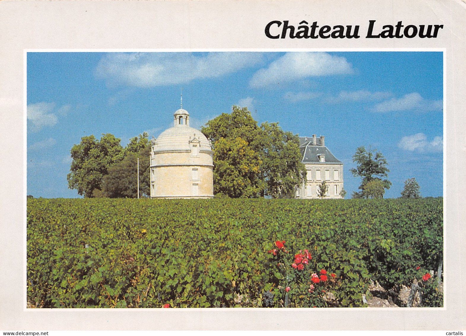 33-PAUILLAC-N°3722-D/0281 - Pauillac