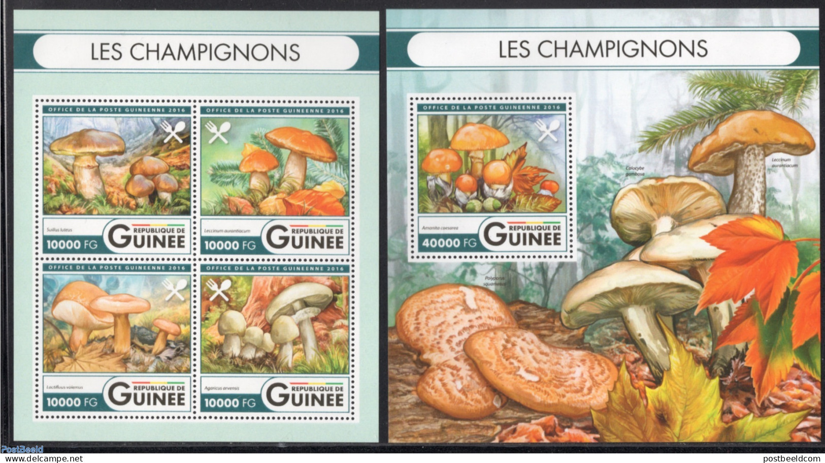 Guinea, Republic 2016 Mushrooms 2 S/s, Mint NH, Nature - Mushrooms - Hongos