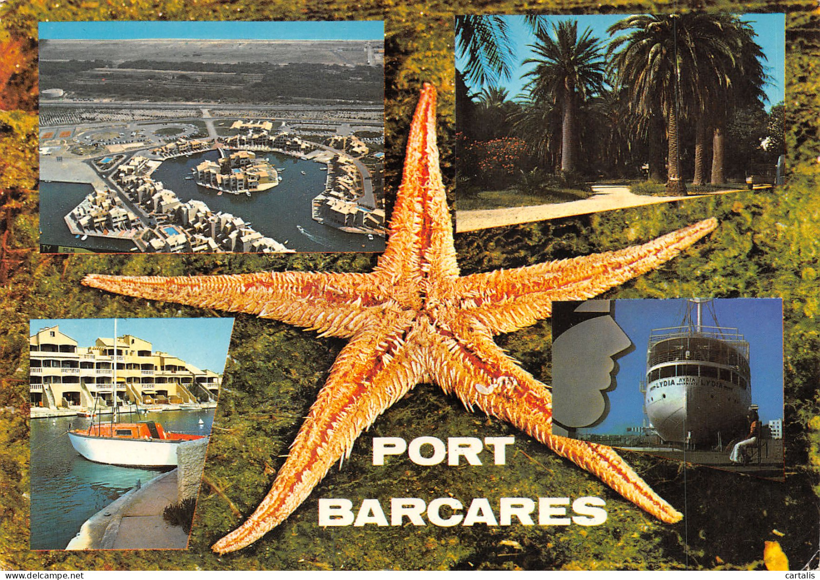 66-PORT BARCARES-N°3722-C/0127 - Port Barcares